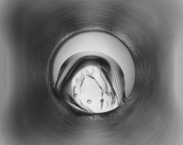 X0000095960112200802081325