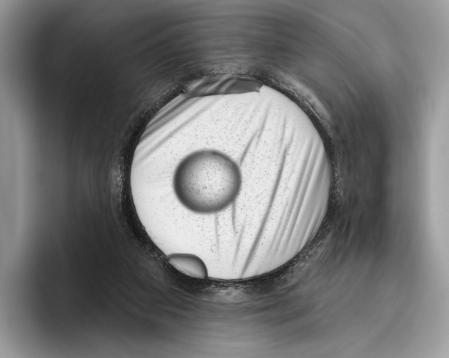 X0000095960113200802081325