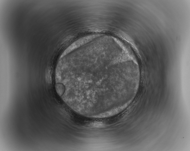 X0000095960114200802081325