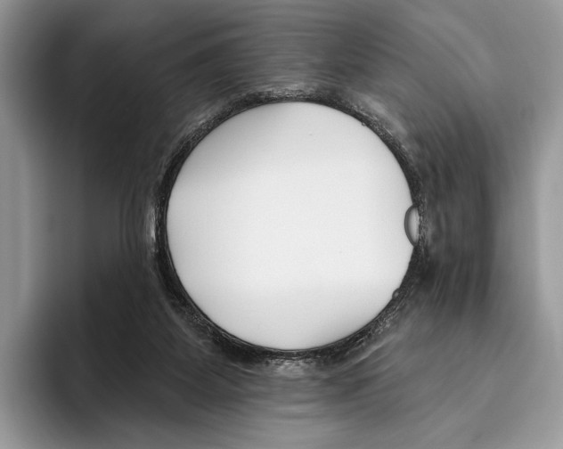 X0000095960115200802081325