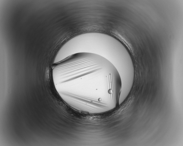 X0000095960117200802081325