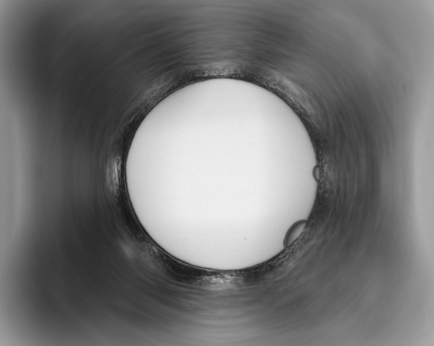 X0000095960118200802081325