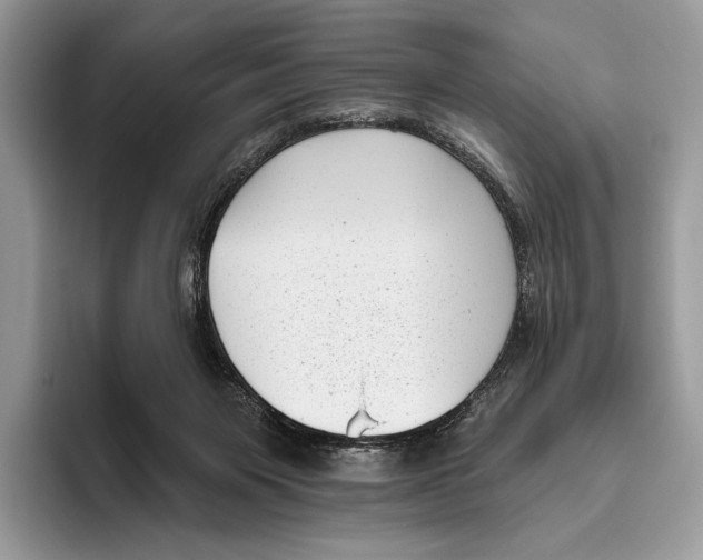 X0000095960119200802081325