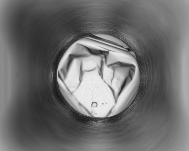 X0000095960120200802081325
