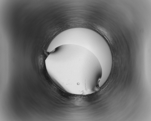 X0000095960121200802081325