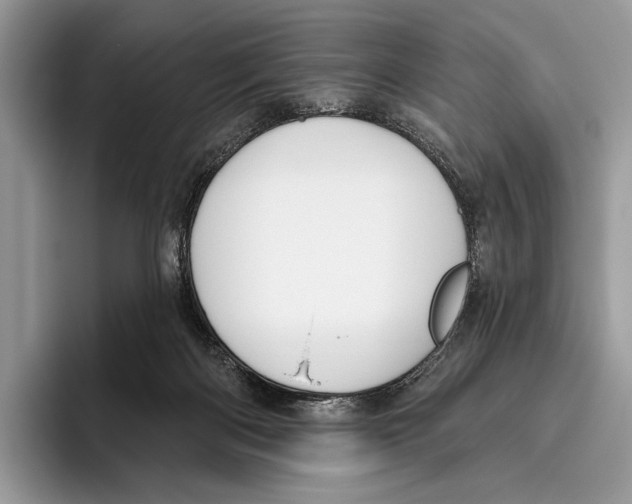 X0000095960122200802081325