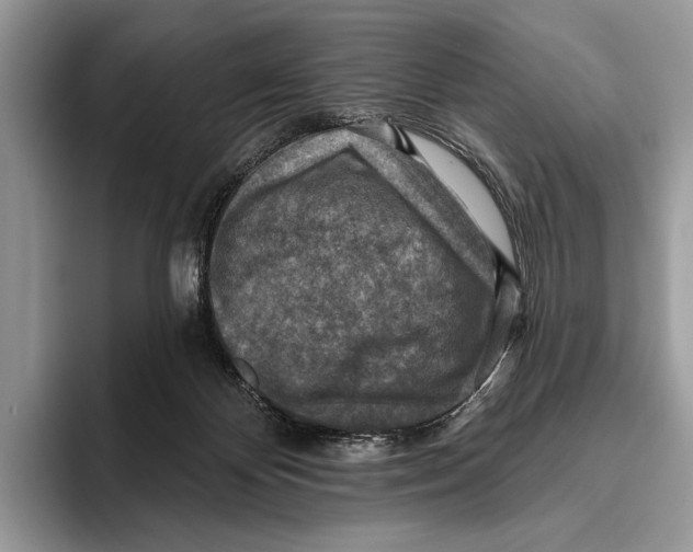 X0000095960124200802081325