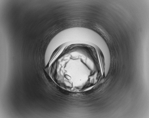 X0000095960125200802081325