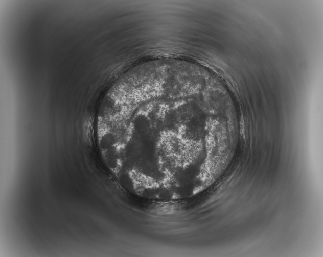 X0000095960127200802081325