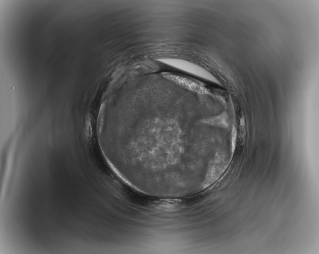 X0000095960128200802081325