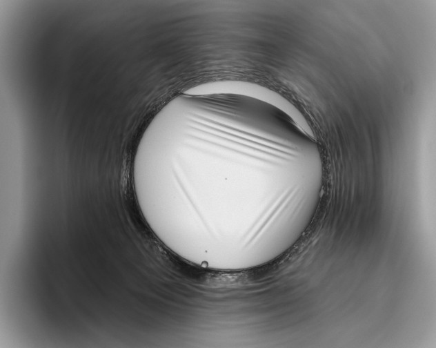 X0000095960129200802081325