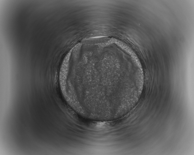 X0000095960130200802081325