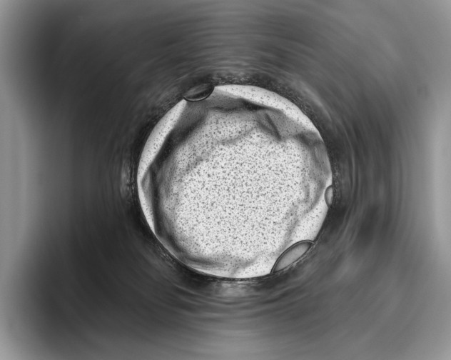 X0000095960134200802081325