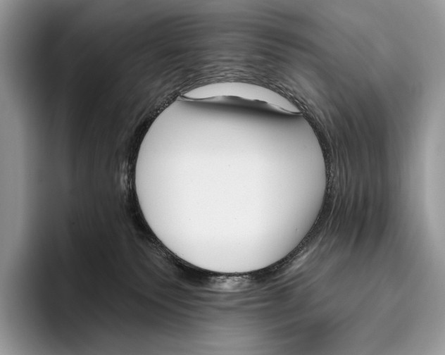 X0000095960135200802081325