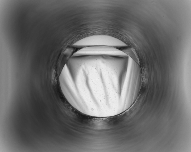 X0000095960136200802081325