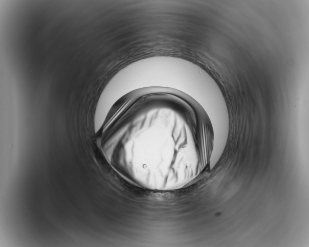 X0000095960137200802081325