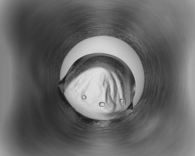 X0000095960138200802081325