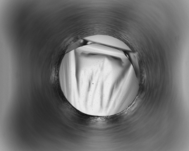 X0000095960140200802081325