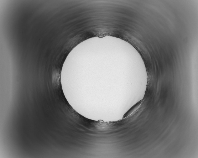 X0000095960142200802081325