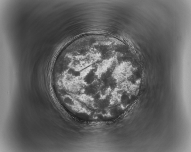 X0000095960145200802081324