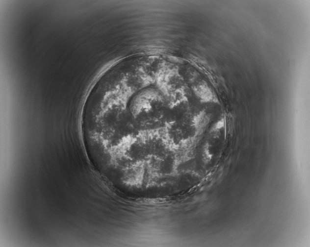 X0000095960147200802081324