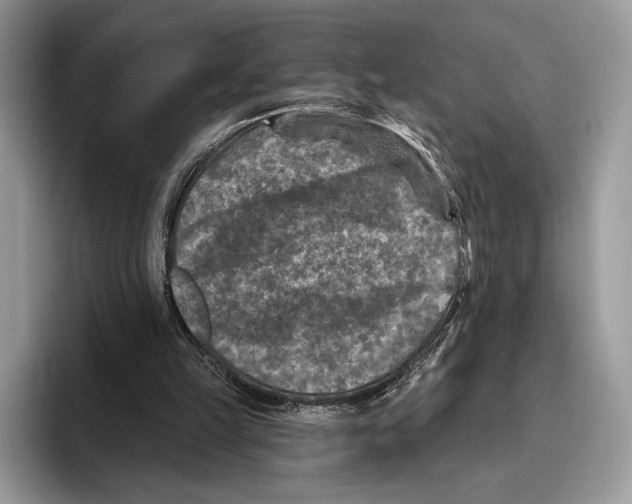 X0000095960149200802081324