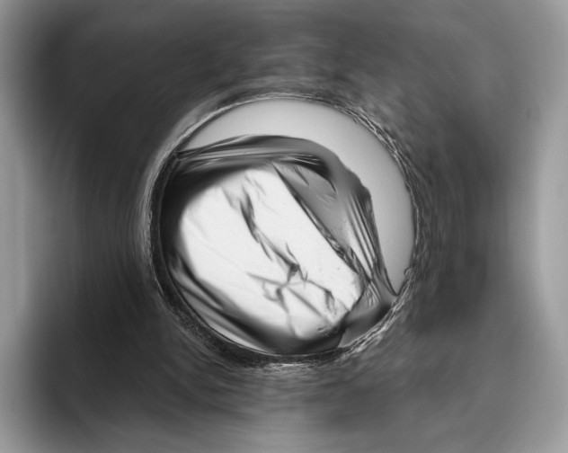 X0000095960150200802081324