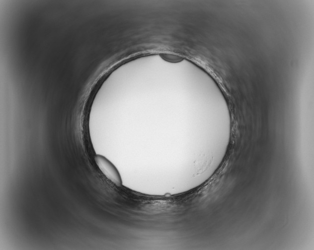X0000095960151200802081324