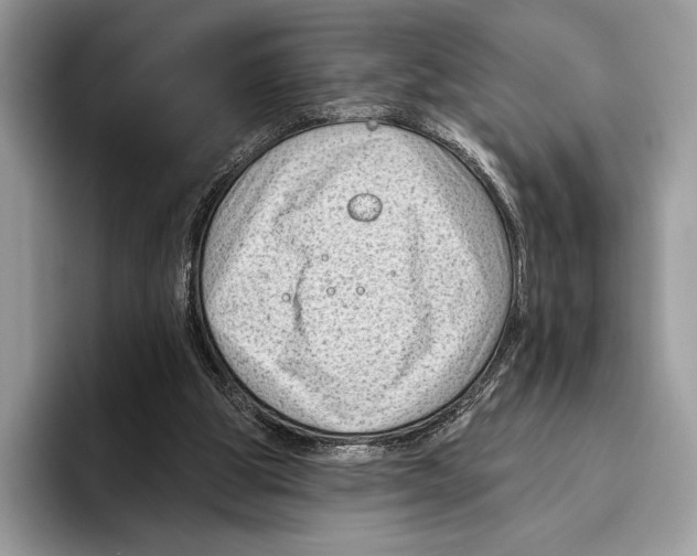X0000095960153200802081324