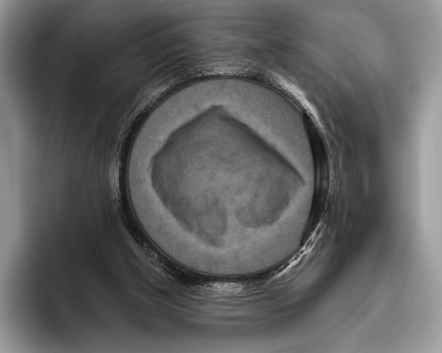 X0000095960154200802081324