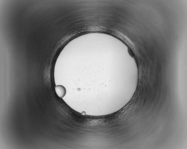 X0000095960155200802081324
