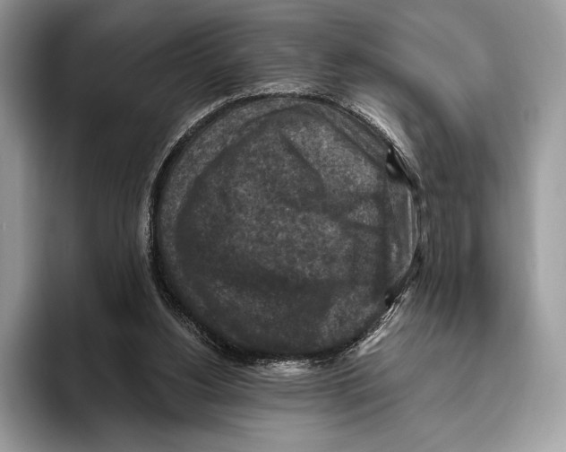 X0000095960156200802081324
