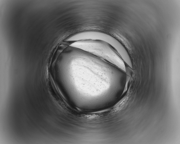 X0000095960158200802081324