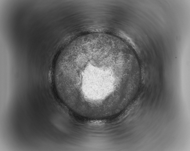 X0000095960161200802081324