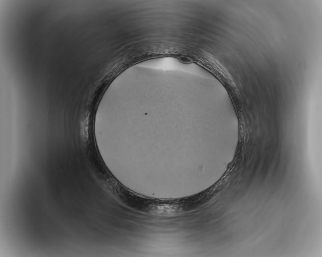 X0000095960163200802081324