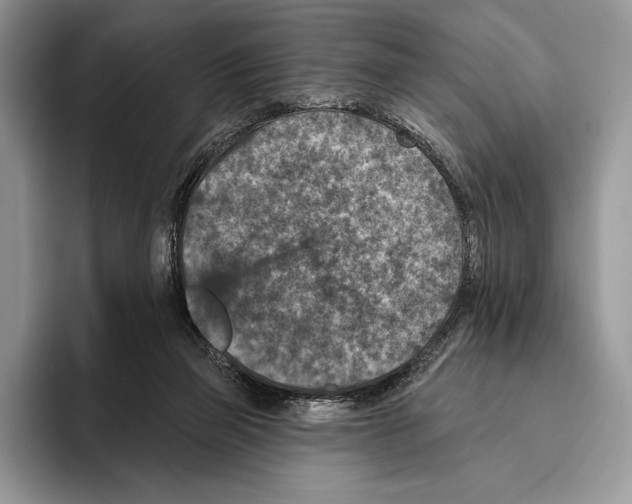 X0000095960165200802081324