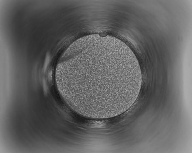 X0000095960166200802081324