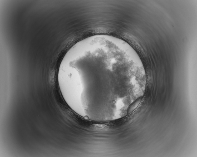 X0000095960167200802081324