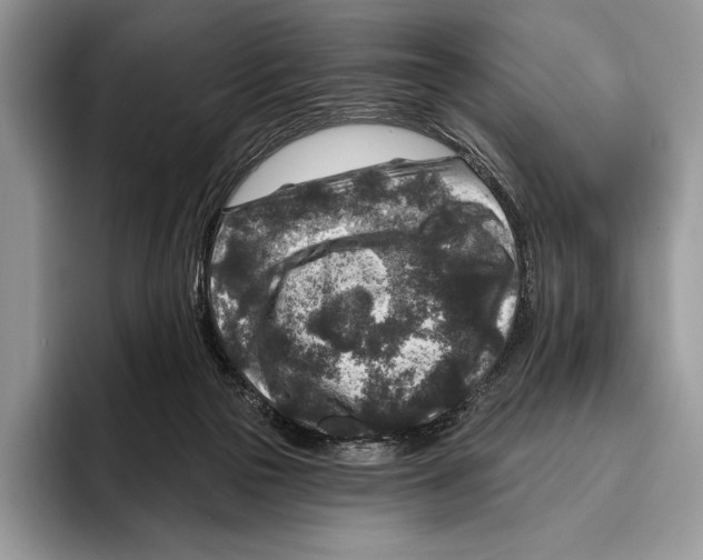 X0000095960169200802081324