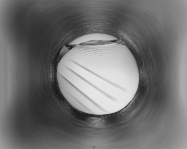 X0000095960170200802081324