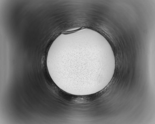 X0000095960171200802081325