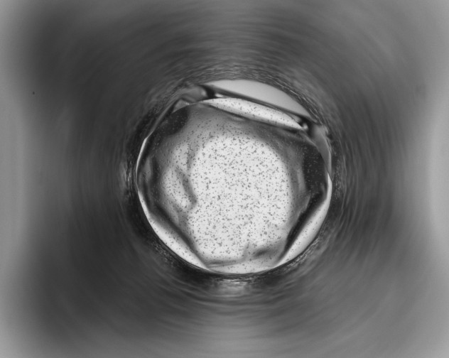 X0000095960176200802081325