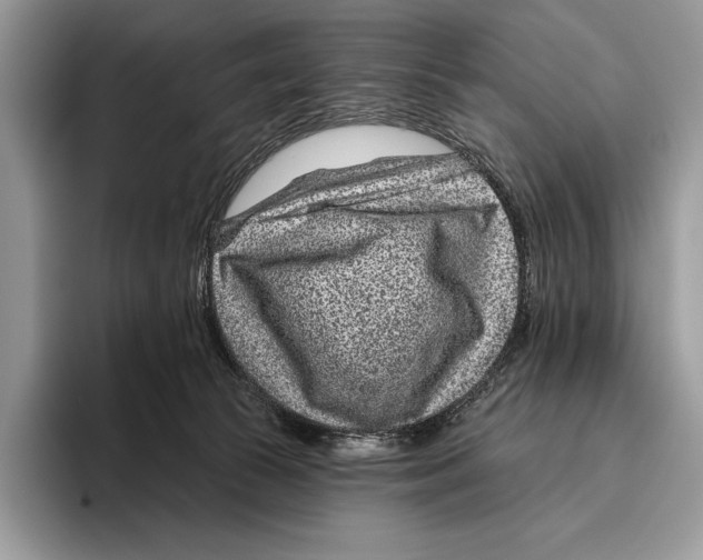 X0000095960177200802081325