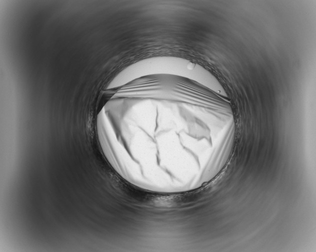 X0000095960178200802081325