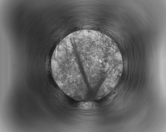X0000095960181200802081325