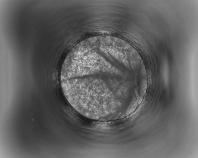 X0000095960182200802081325