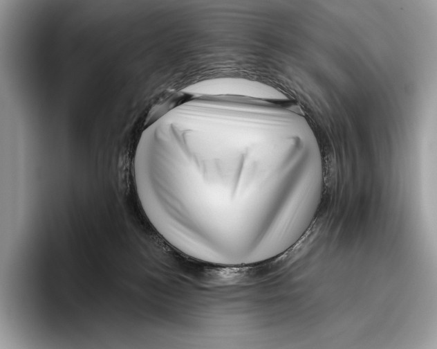 X0000095960184200802081325