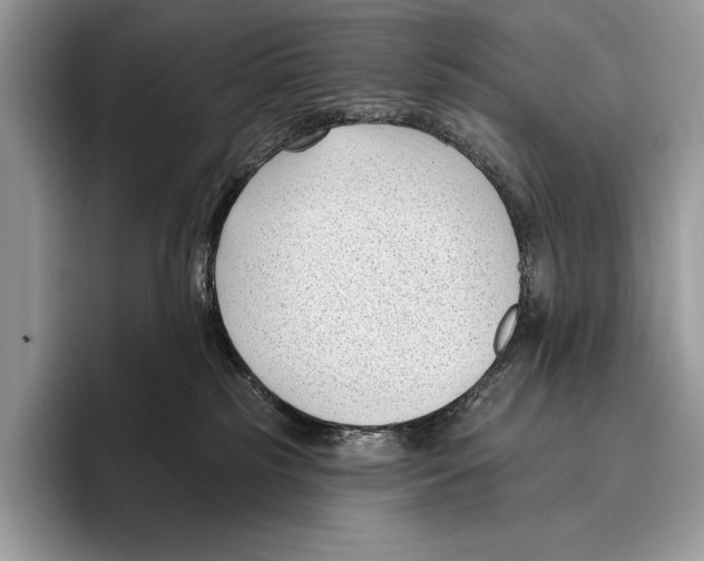 X0000095960185200802081325