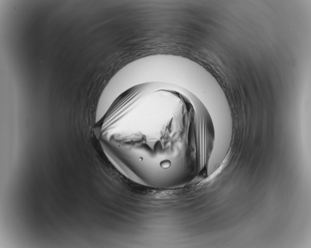 X0000095960186200802081325