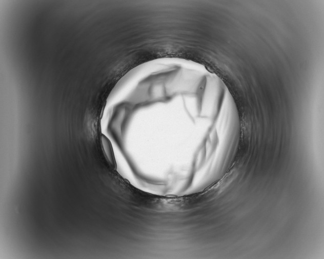 X0000095960188200802081325